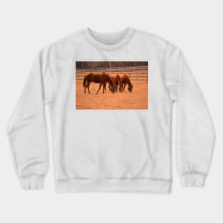 Party for Three Crewneck Sweatshirt